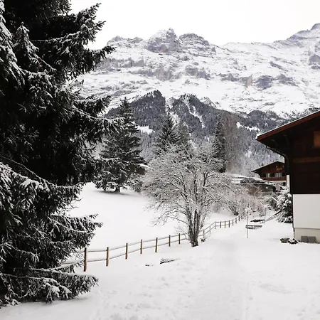 Brand New, 5min To Paradise ! * Grindelwald