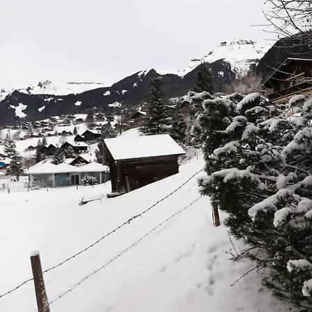 Brand New, 5min To Paradise ! Grindelwald