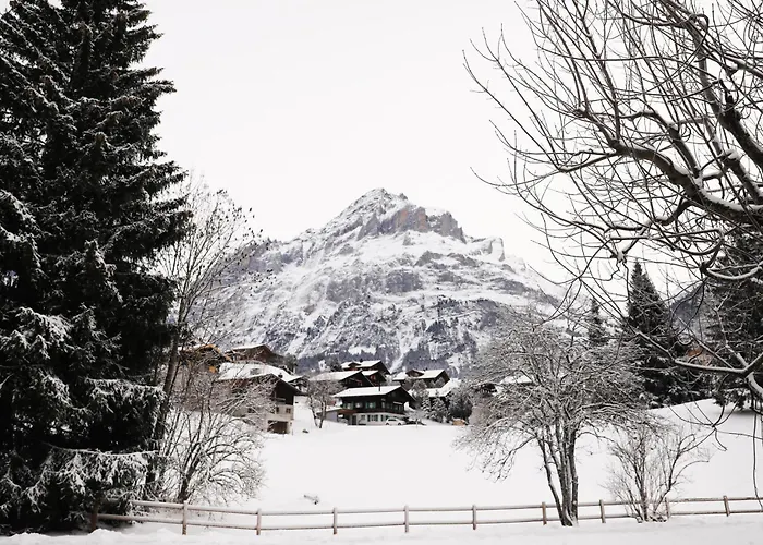 Brand New, 5min To Paradise ! Grindelwald