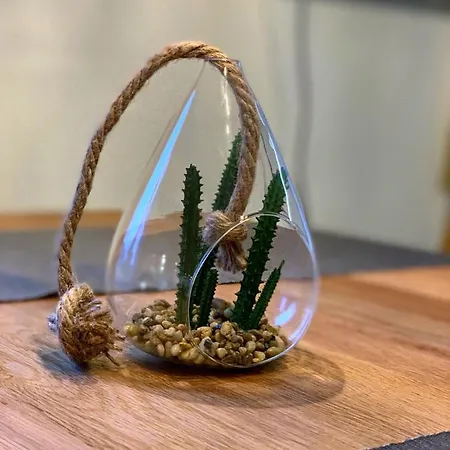 Brand New, 5min To Paradise ! * 格林德瓦